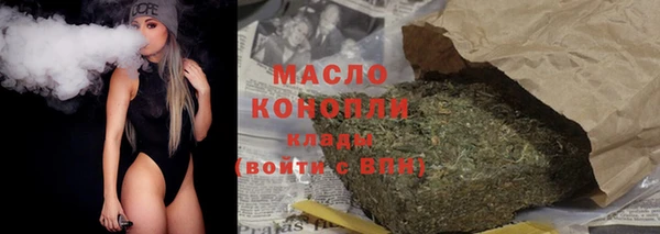 винт Ельня